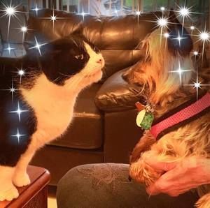 Meet your Posher, Melinda